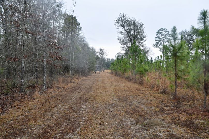 80 shooting lane looking north towards permanent box stand 2-2