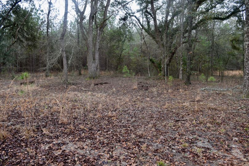 82 southeast corner of property-2