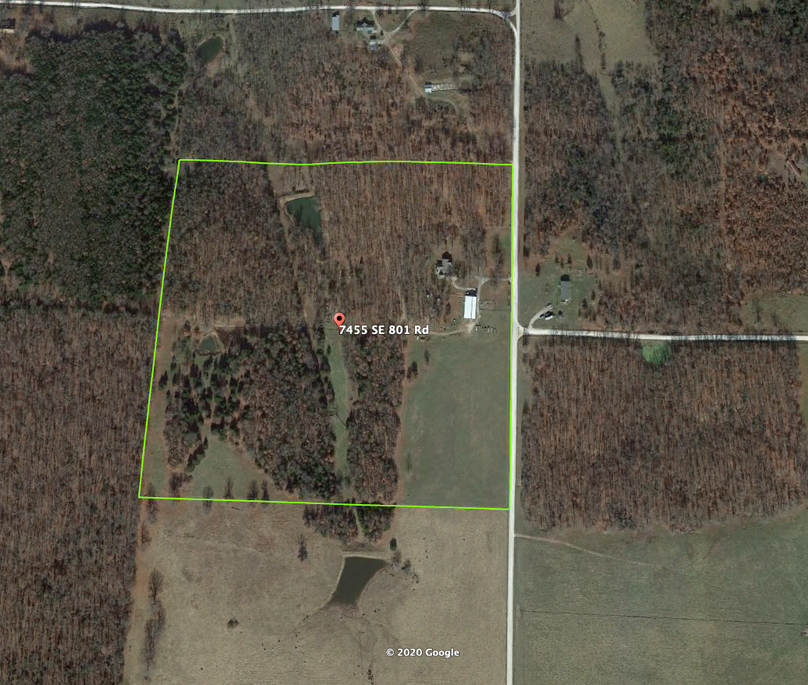 Screen shot 2020-11-19 at 4.59.58 pm