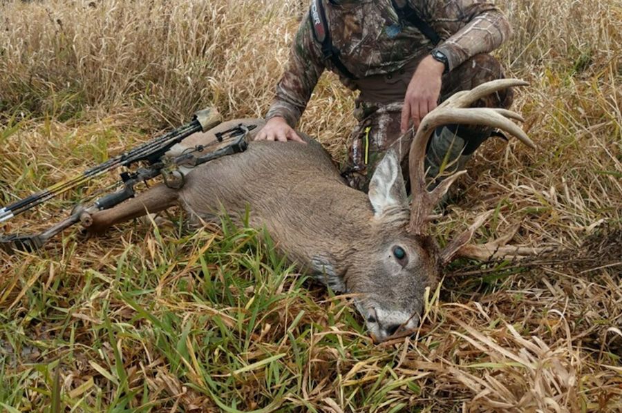 2018 finleybuck