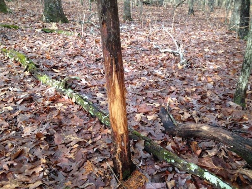 Xxxxxxxxxxxxxxxxxxxx