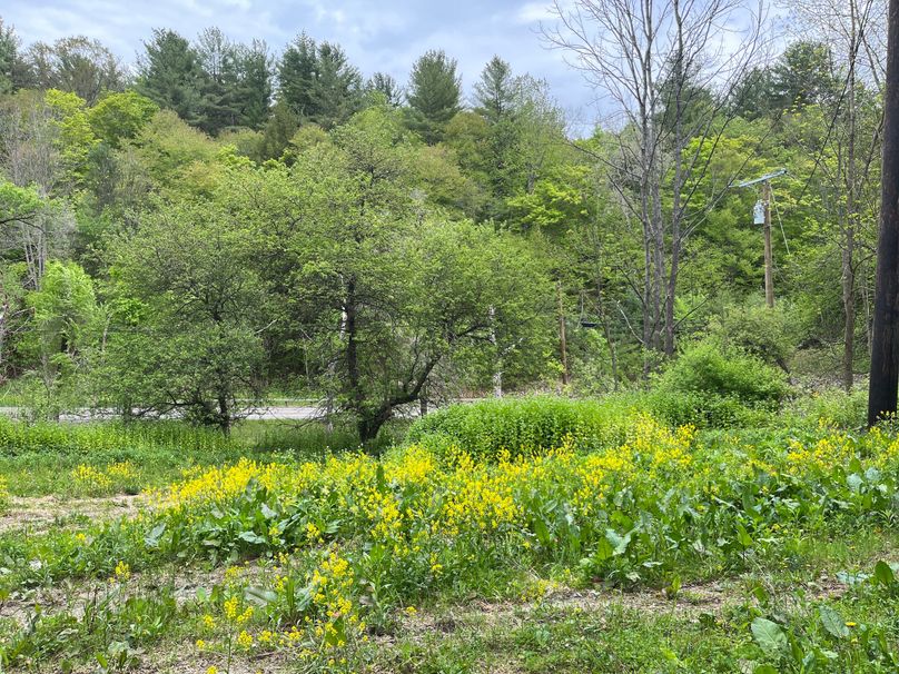 Tioga_18.72_Coulson Photo 45