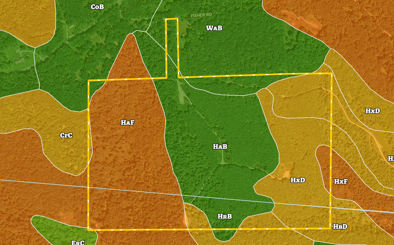 Screen shot 2020-10-25 at 2.49.42 pm