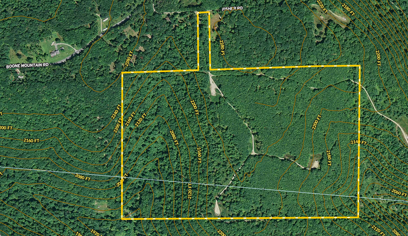 Screen shot 2020-10-25 at 2.49.33 pm