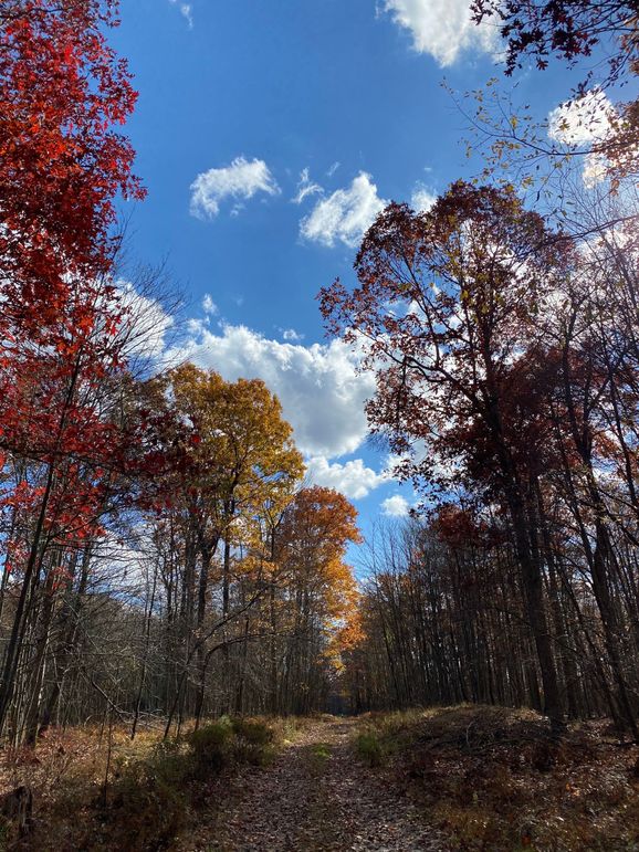 62517001478  c9ca8499-dc39-4bf9-8b32-e09345616098 2 copy