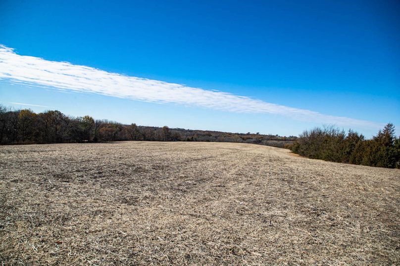 Um9sYW5kaGF5ZGVubm9kYXdheTE5Mi0x