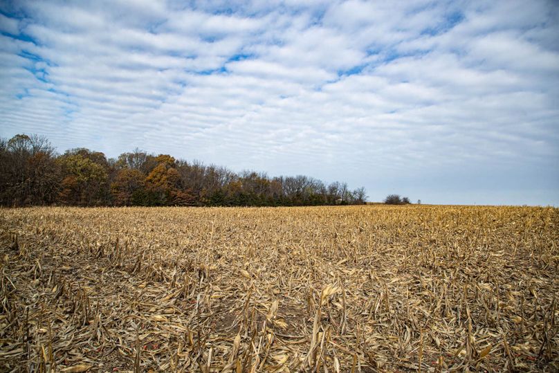 Um9sYW5kaGF5ZGVubm9kYXdheTE5Mi0xNA==