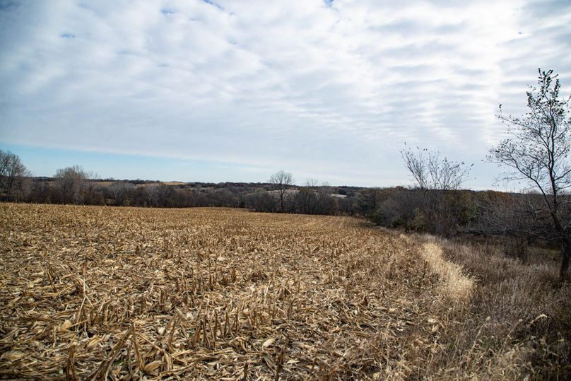 Um9sYW5kaGF5ZGVubm9kYXdheTE5Mi0xNQ==