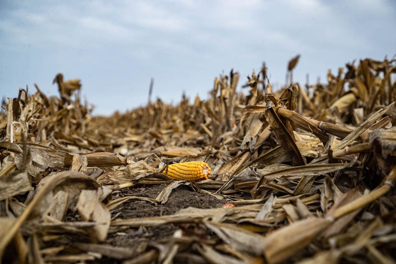 Um9sYW5kaGF5ZGVubm9kYXdheTE5Mi0xNw==