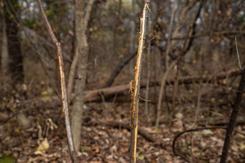 Um9sYW5kaGF5ZGVubm9kYXdheTE5Mi0yMA==