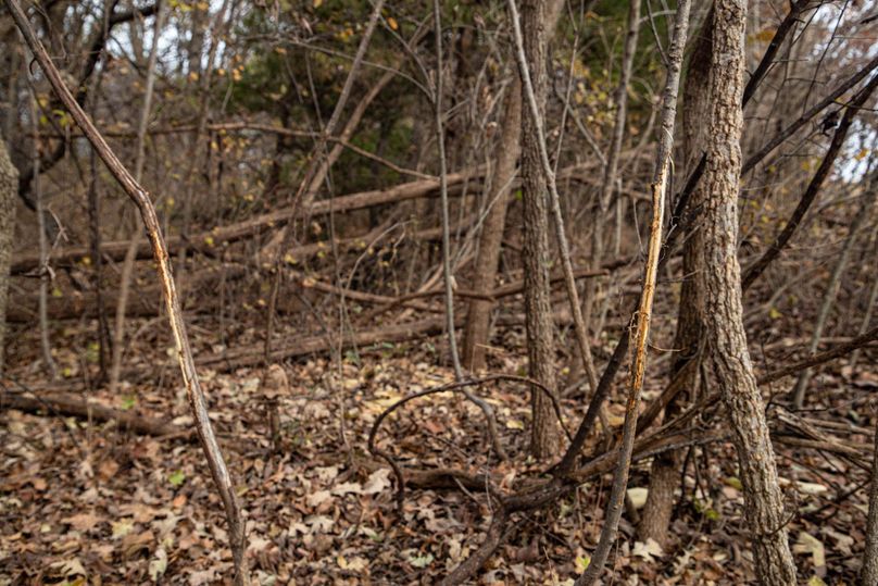 Um9sYW5kaGF5ZGVubm9kYXdheTE5Mi0yMg==