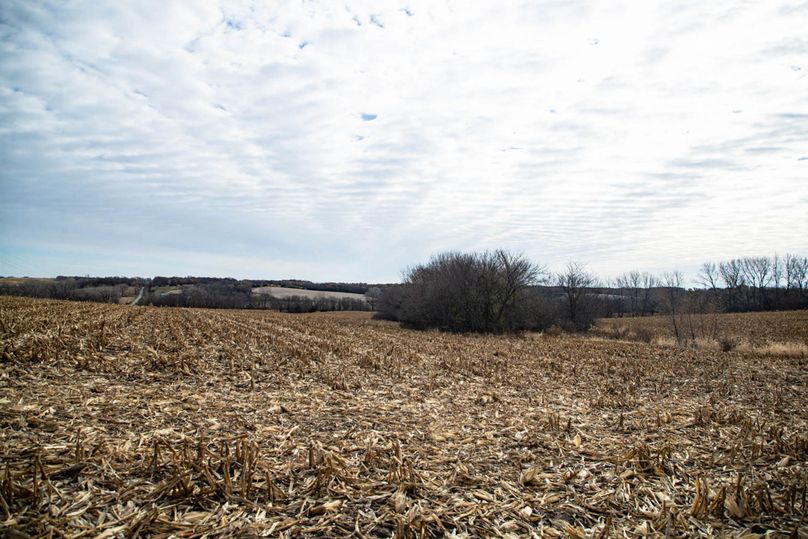 Um9sYW5kaGF5ZGVubm9kYXdheTE5Mi0yNA==