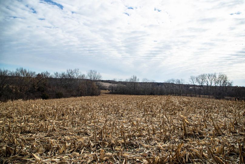 Um9sYW5kaGF5ZGVubm9kYXdheTE5Mi0yNQ==