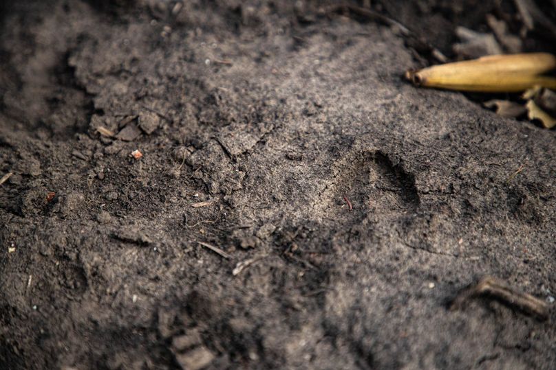 Um9sYW5kaGF5ZGVubm9kYXdheTE5Mi0yOA==