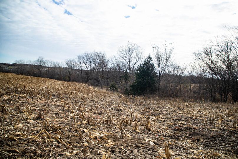 Um9sYW5kaGF5ZGVubm9kYXdheTE5Mi0yOQ==