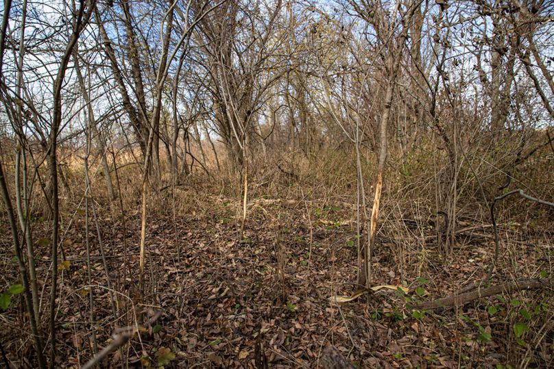 Um9sYW5kaGF5ZGVubm9kYXdheTE5Mi0z