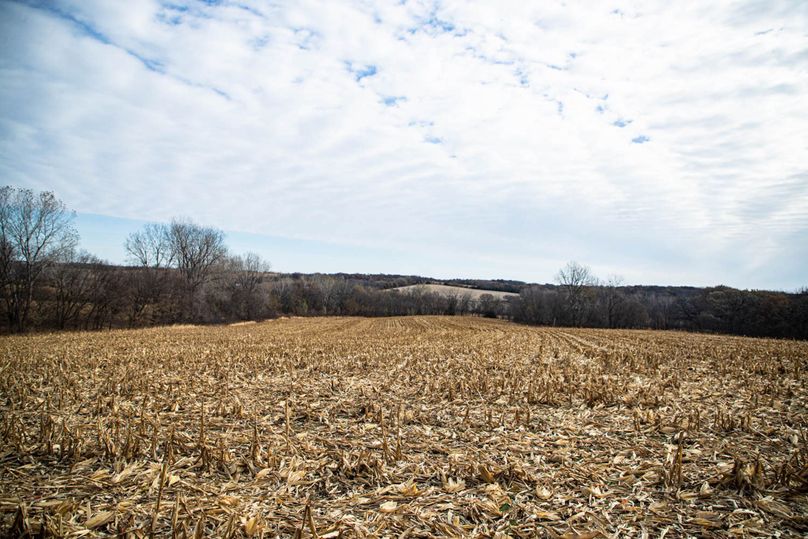 Um9sYW5kaGF5ZGVubm9kYXdheTE5Mi0zMQ==