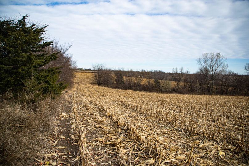 Um9sYW5kaGF5ZGVubm9kYXdheTE5Mi0zMg==