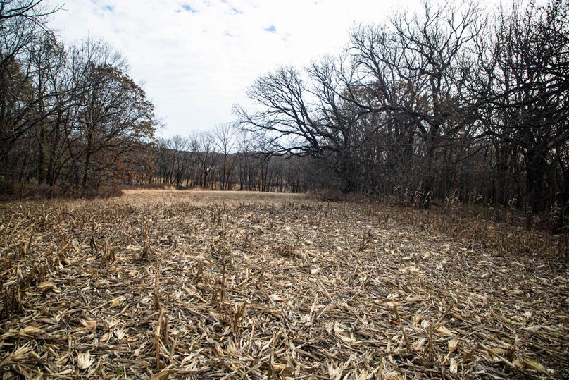 Um9sYW5kaGF5ZGVubm9kYXdheTE5Mi0zMw==