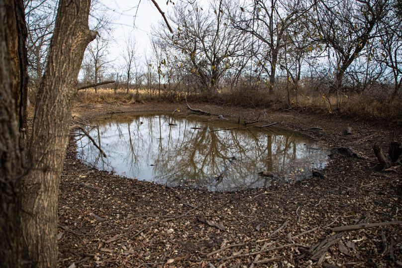 Um9sYW5kaGF5ZGVubm9kYXdheTE5Mi0zNQ==