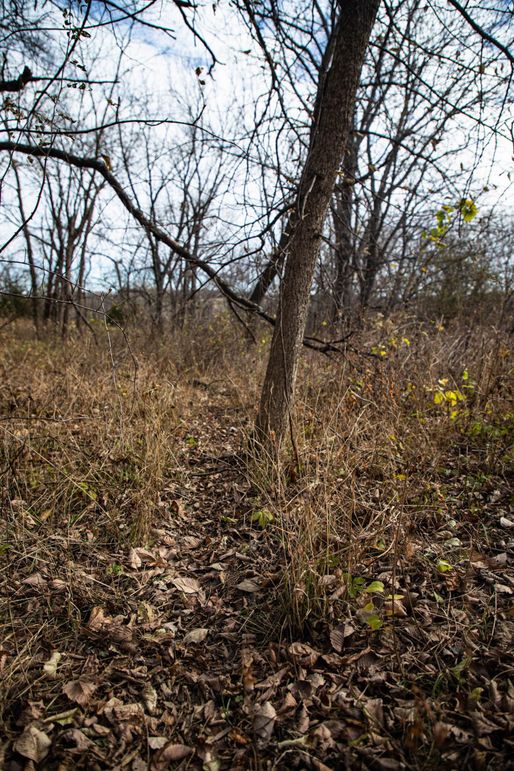 Um9sYW5kaGF5ZGVubm9kYXdheTE5Mi0zNg==