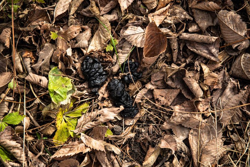 Um9sYW5kaGF5ZGVubm9kYXdheTE5Mi0zNw==