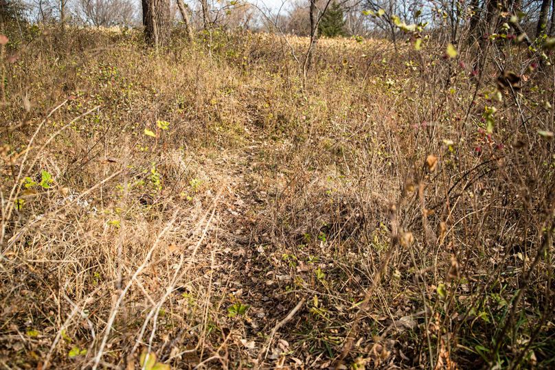 Um9sYW5kaGF5ZGVubm9kYXdheTE5Mi0zOQ==