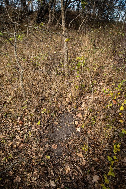 Um9sYW5kaGF5ZGVubm9kYXdheTE5Mi00MA==