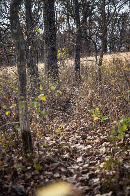 Um9sYW5kaGF5ZGVubm9kYXdheTE5Mi00Mg==