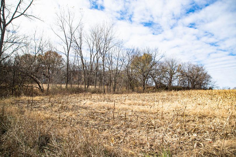 Um9sYW5kaGF5ZGVubm9kYXdheTE5Mi00Mw==