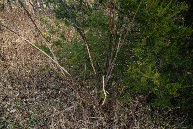 Um9sYW5kaGF5ZGVubm9kYXdheTE5Mi00NQ==