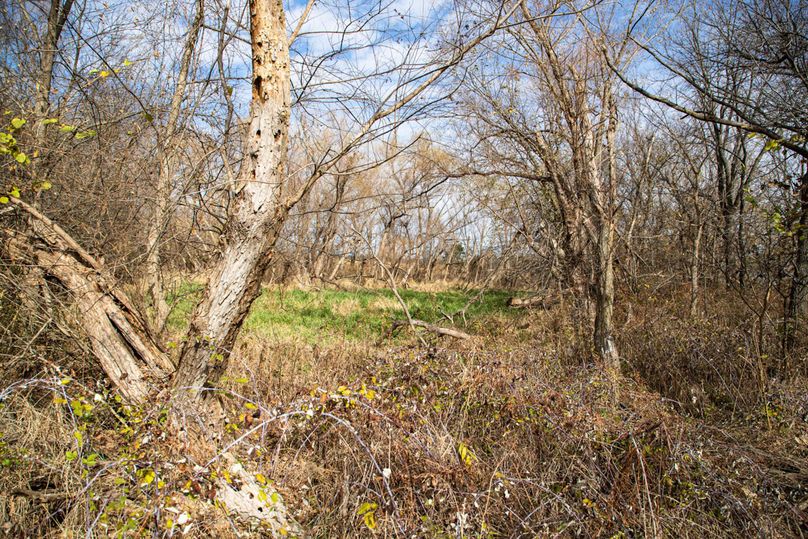 Um9sYW5kaGF5ZGVubm9kYXdheTE5Mi00Ng==