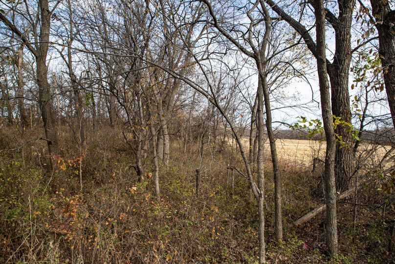 Um9sYW5kaGF5ZGVubm9kYXdheTE5Mi00Nw==