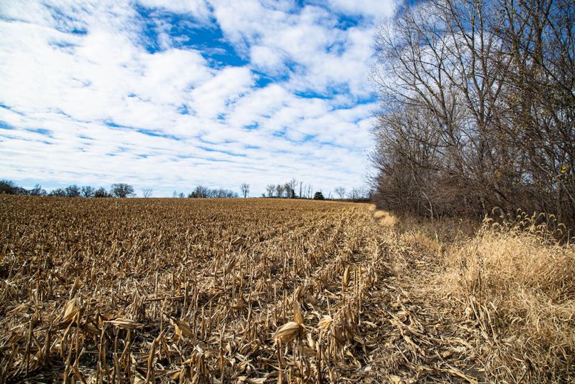 Um9sYW5kaGF5ZGVubm9kYXdheTE5Mi01MA==