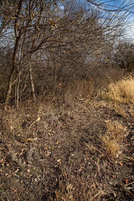 Um9sYW5kaGF5ZGVubm9kYXdheTE5Mi01MQ==