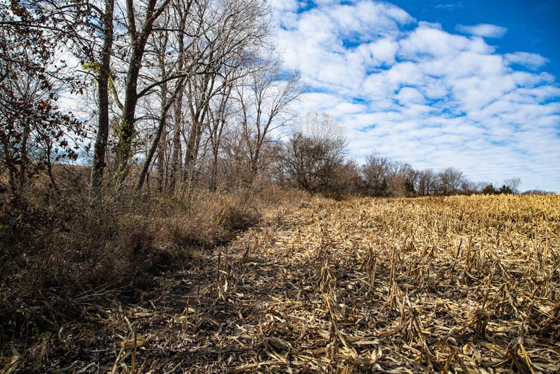 Um9sYW5kaGF5ZGVubm9kYXdheTE5Mi01Mg==