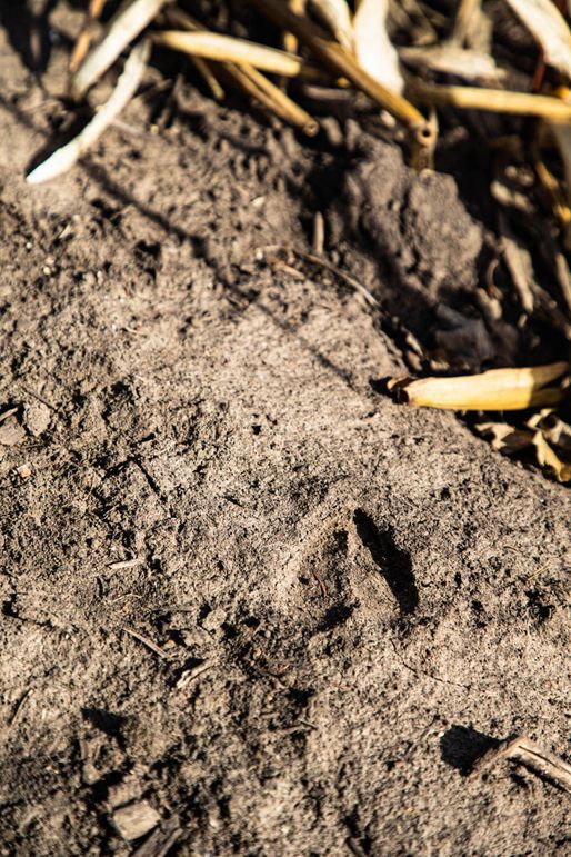 Um9sYW5kaGF5ZGVubm9kYXdheTE5Mi01Mw==