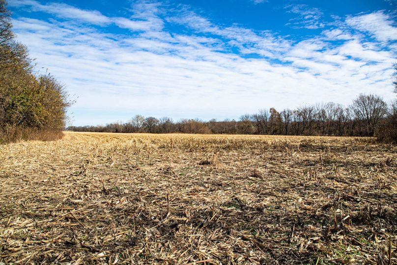 Um9sYW5kaGF5ZGVubm9kYXdheTE5Mi01NA==