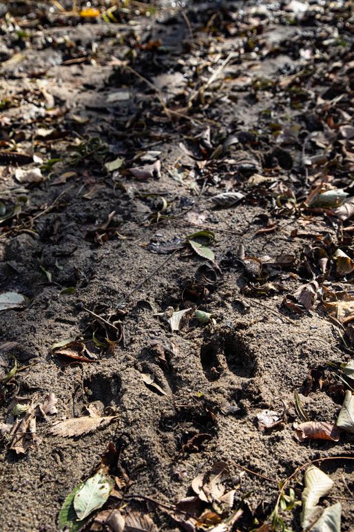 Um9sYW5kaGF5ZGVubm9kYXdheTE5Mi01Ng==