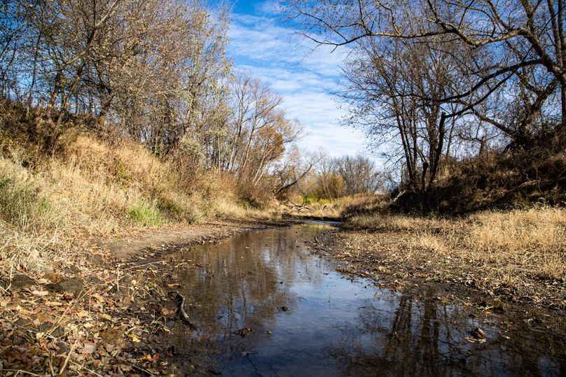 Um9sYW5kaGF5ZGVubm9kYXdheTE5Mi01OA==