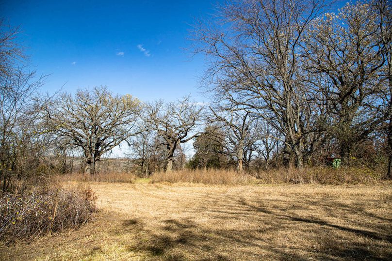 Um9sYW5kaGF5ZGVubm9kYXdheTE5Mi02NQ==