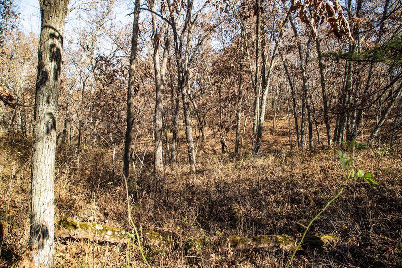 Um9sYW5kaGF5ZGVubm9kYXdheTE5Mi03NA==