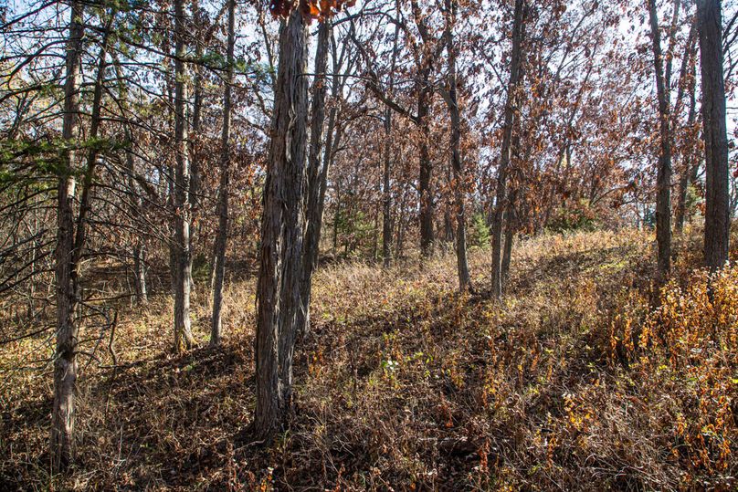 Um9sYW5kaGF5ZGVubm9kYXdheTE5Mi03Ng==