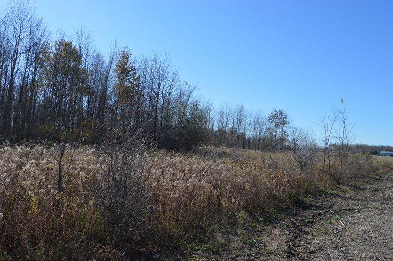 R3Jhc3N5IGFyZWEgaW4gbncgY29ybmVy