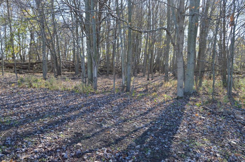 U2NyYXBlIHcgcnVicw==