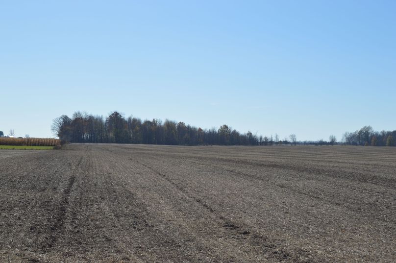 VmlldyBmcm9tIHJvYWQ=