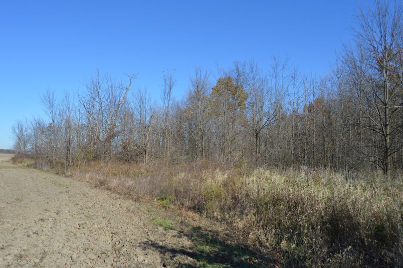 V2VzdCBlZGdlIGxvb2tpbmcgbm9ydGg=