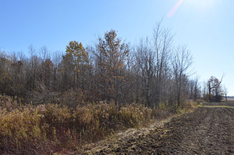 V2VzdCBlZGdlIGxvb2tpbmcgc291dGg=