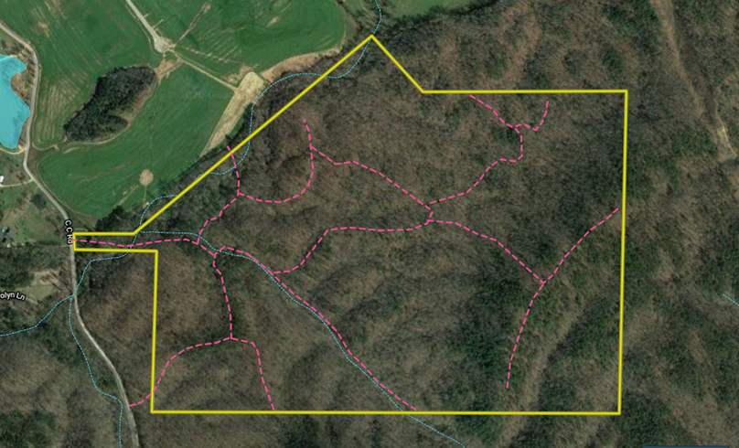 Screen shot 2020-11-06 at 7.06.50 am