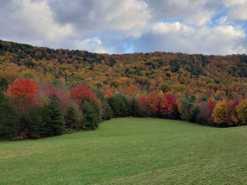 1 main pic - mountain view 175